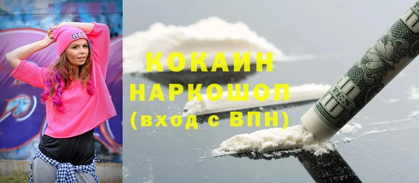 индика Алзамай