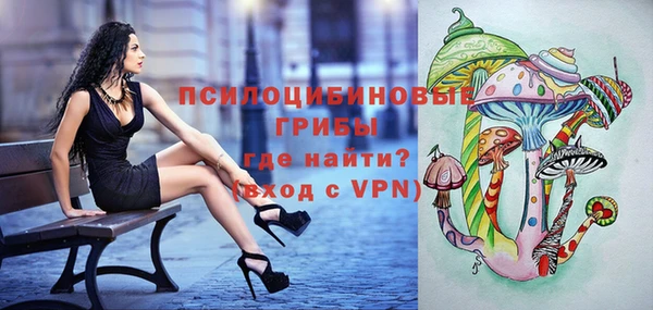 эйфоретик Алексеевка