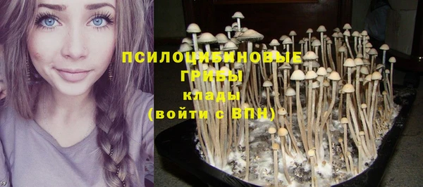 индика Алзамай
