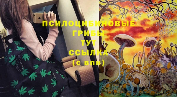 эйфоретик Алексеевка