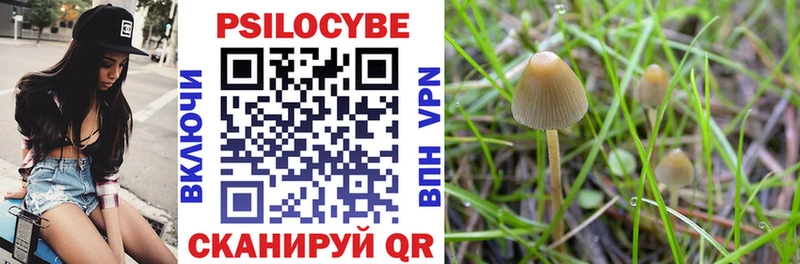 Псилоцибиновые грибы MAGIC MUSHROOMS  Балашов 
